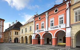 Penzion U Andela